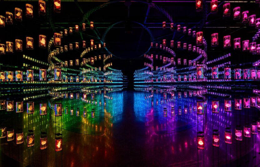 ‘몰입형 경험’이라는 장대한 놀이터 6 The Heal Institute 4