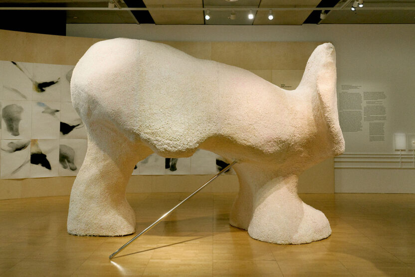 이해를 넘어 경계를 허물다, 〈우리의 몸에는 타인이 깃든다〉전 4 20250526 073342