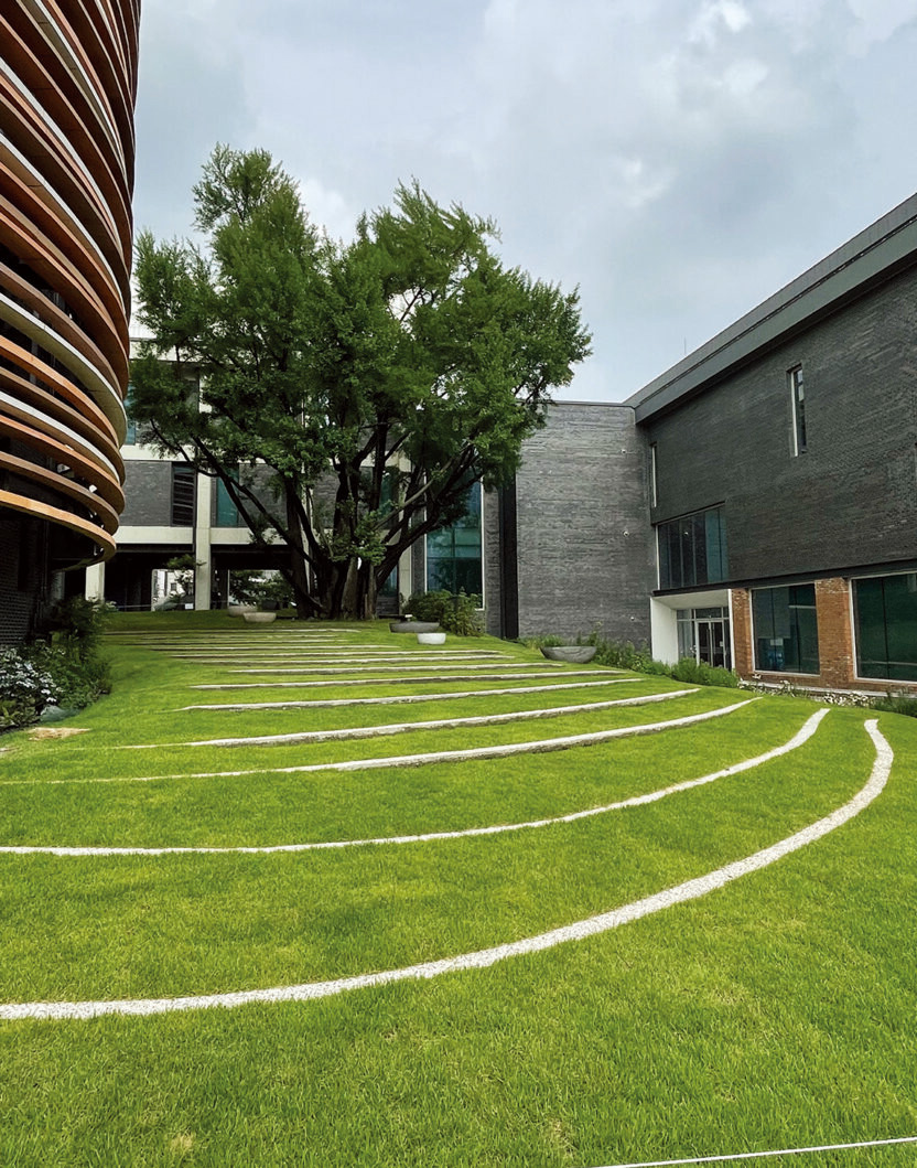 210727000000204 O 832x1059 1