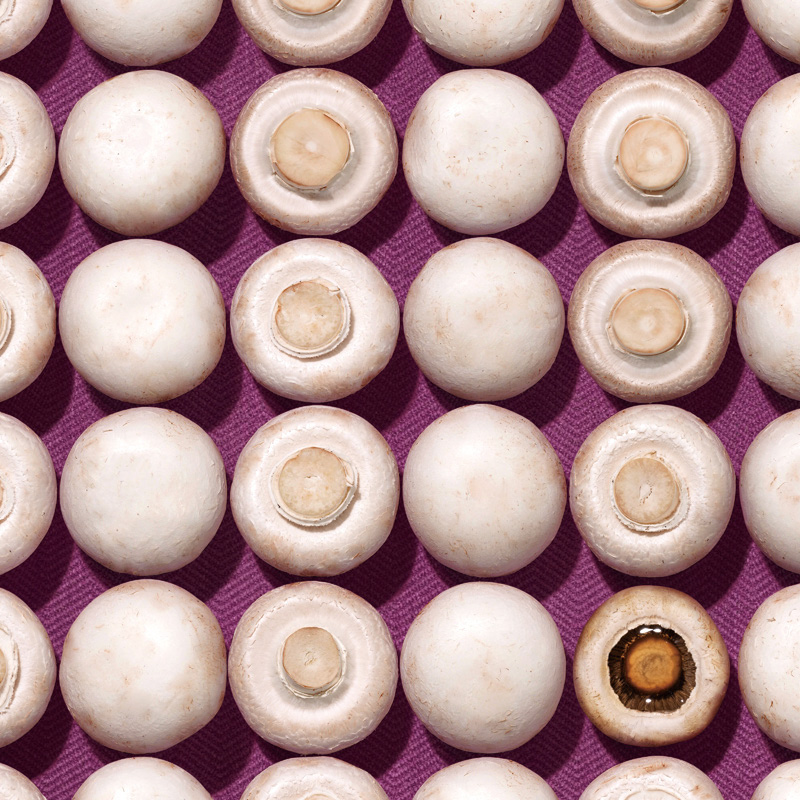 만능 크리에이터의 유쾌한 역습, 스튜디오좋 9 211223000000067 O