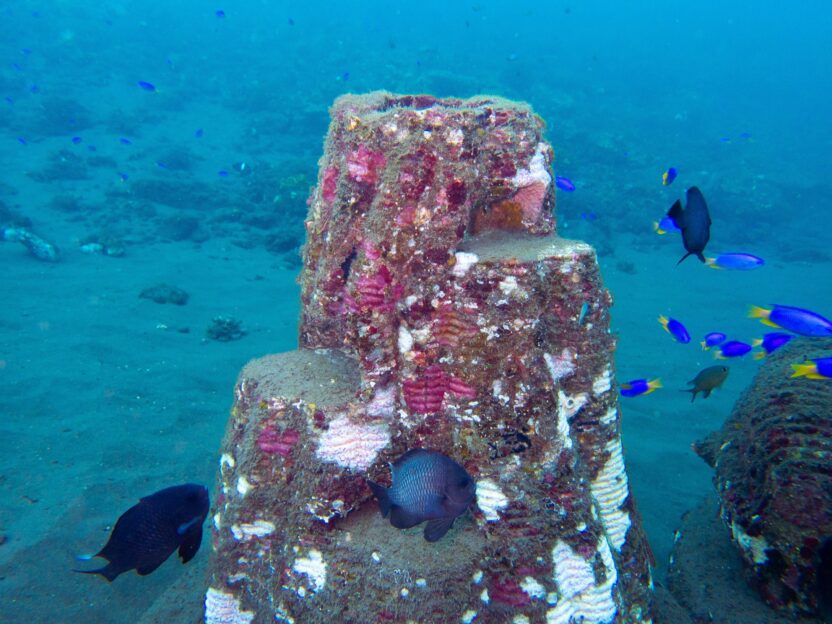 생태계와 공존하는 추모를 디자인하다, 레스팅 리프 4 20250624 082947