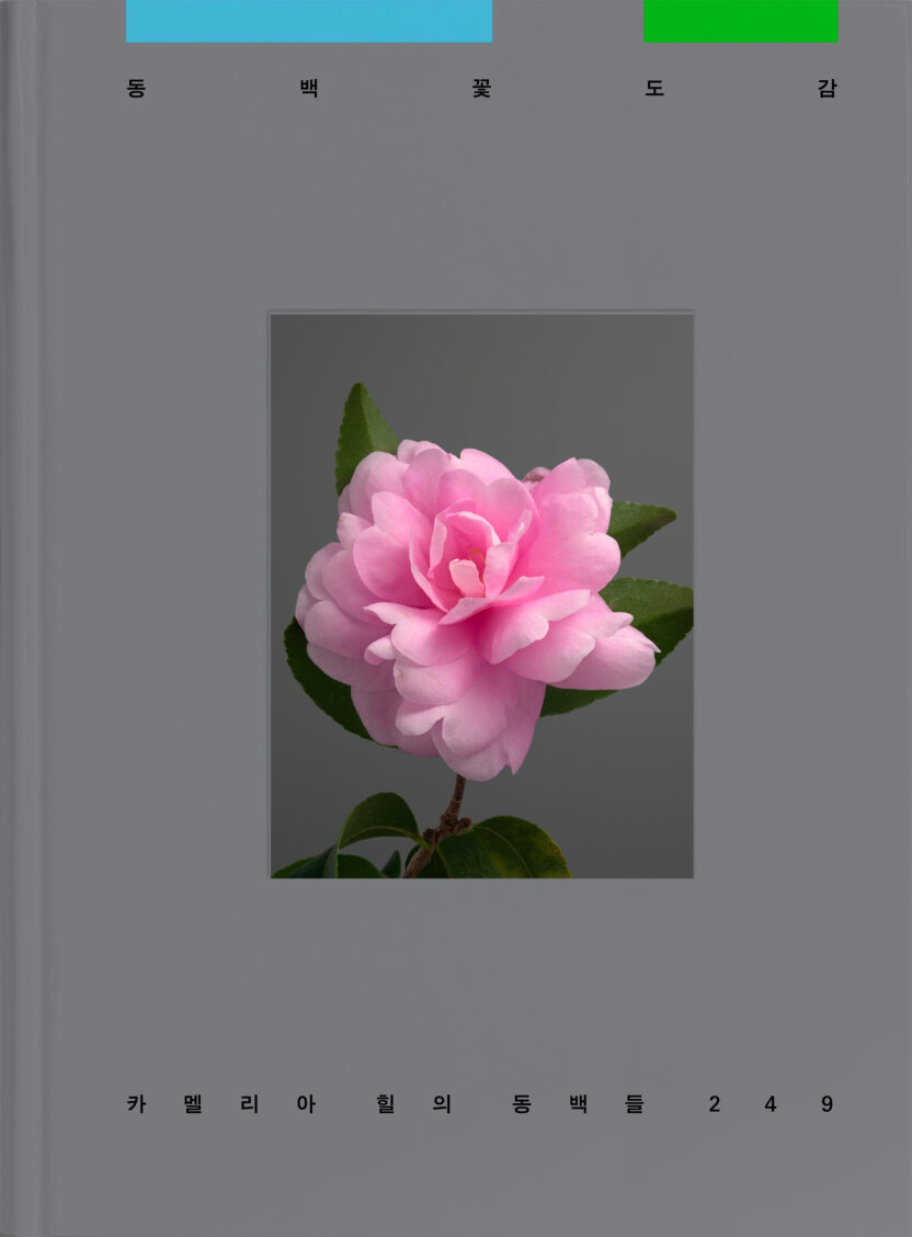 사진작가 김경태가 찍고 슬기와 민이 디자인한 책 6 Camellia front cover 1