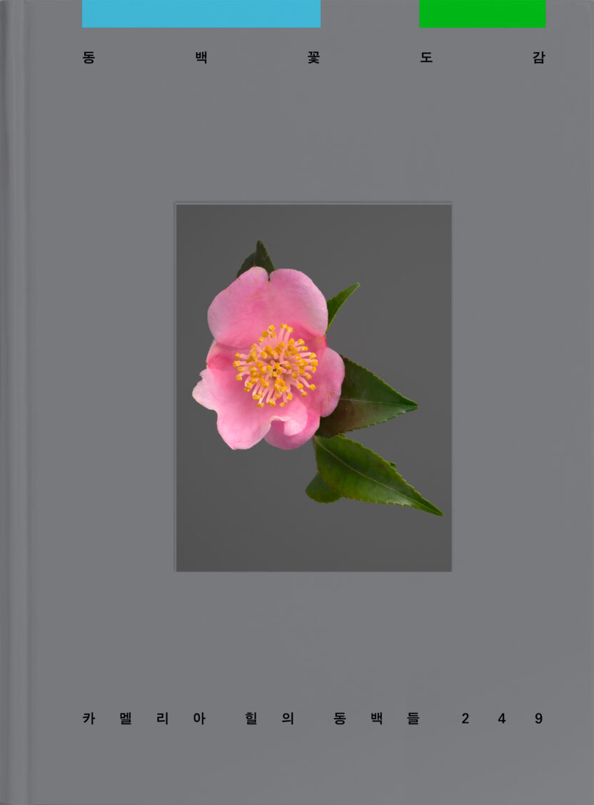 사진작가 김경태가 찍고 슬기와 민이 디자인한 책 16 Camellia front cover 11