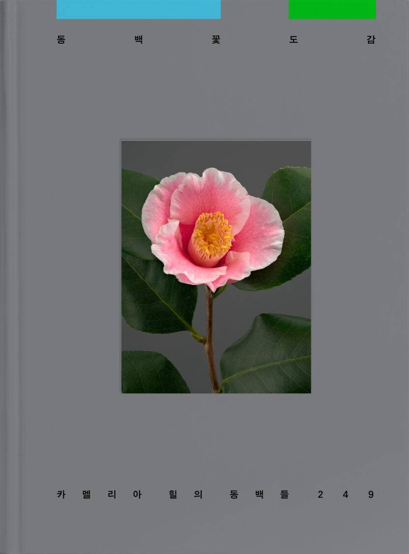 사진작가 김경태가 찍고 슬기와 민이 디자인한 책 7 Camellia front cover 2
