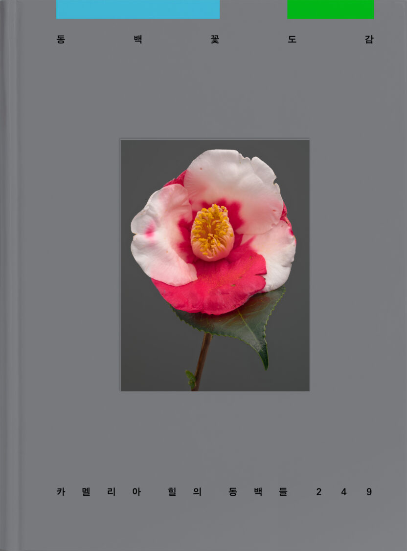 사진작가 김경태가 찍고 슬기와 민이 디자인한 책 10 Camellia front cover 5