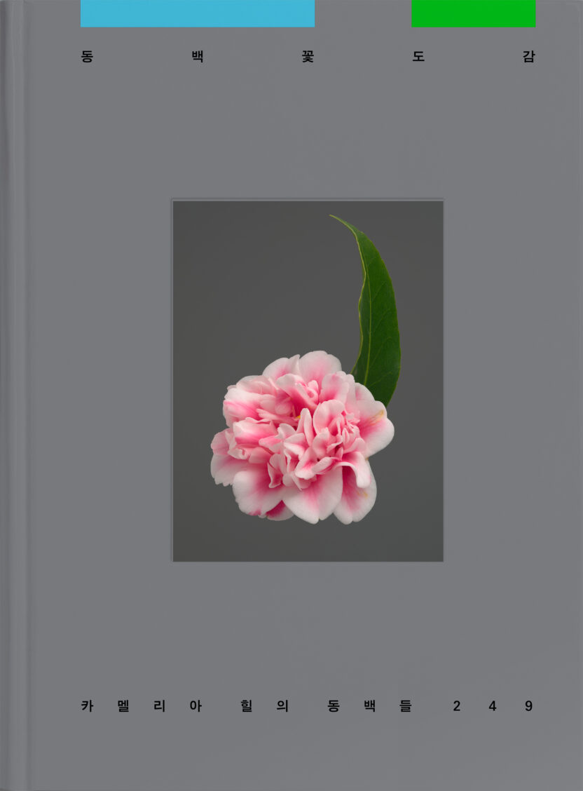 사진작가 김경태가 찍고 슬기와 민이 디자인한 책 13 Camellia front cover 8