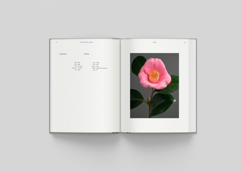 사진작가 김경태가 찍고 슬기와 민이 디자인한 책 2 Camellia Mockup spread 1