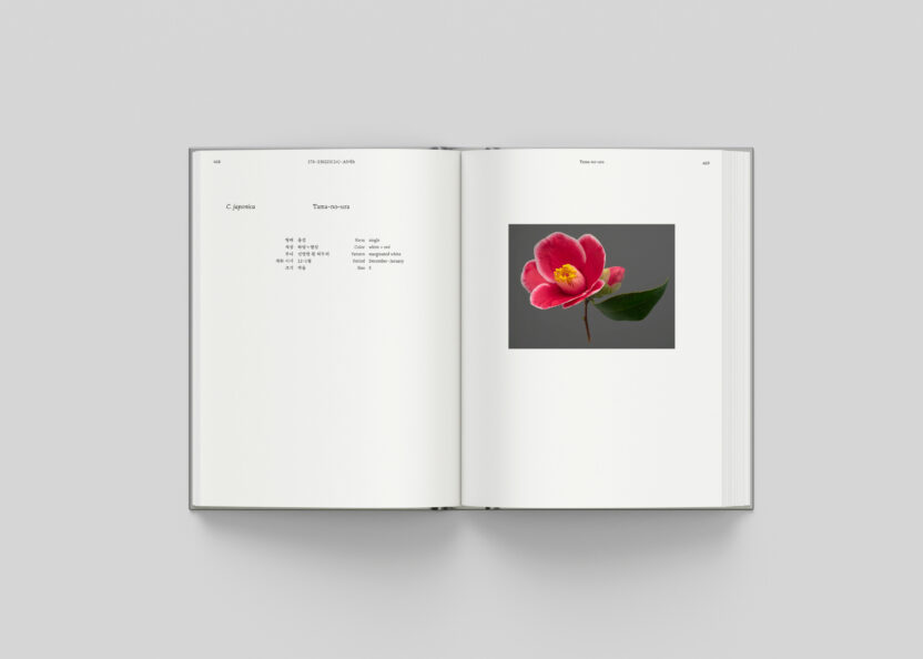 사진작가 김경태가 찍고 슬기와 민이 디자인한 책 4 Camellia Mockup spread 15