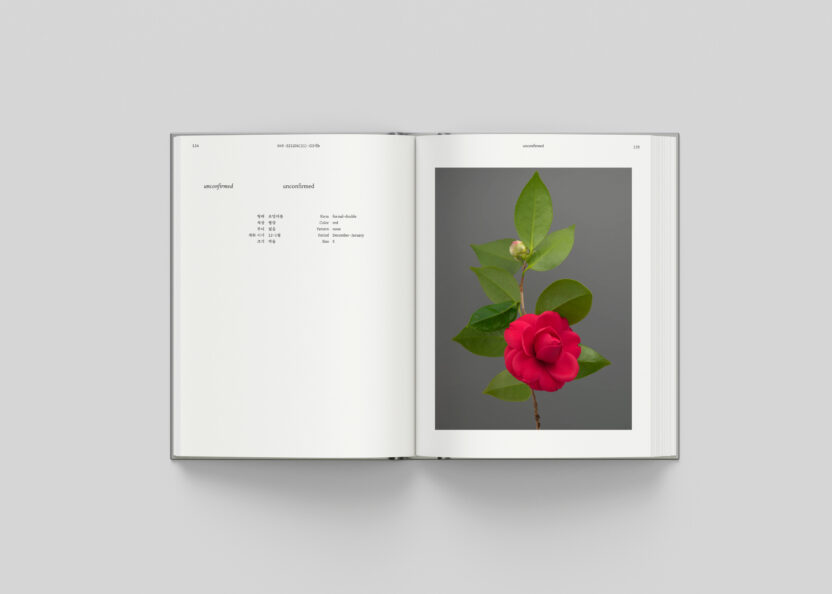 사진작가 김경태가 찍고 슬기와 민이 디자인한 책 5 Camellia Mockup spread 5