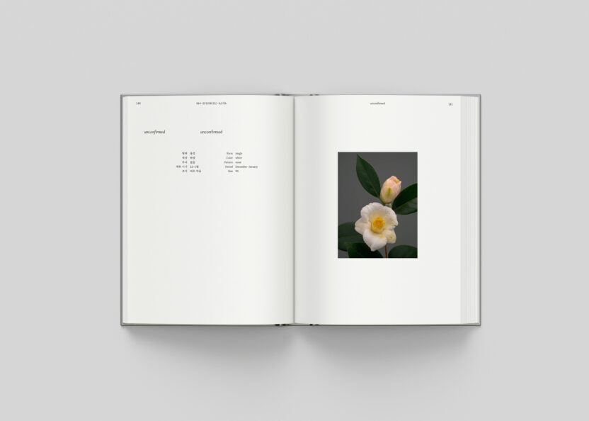 사진작가 김경태가 찍고 슬기와 민이 디자인한 책 3 Camellia Mockup spread 7