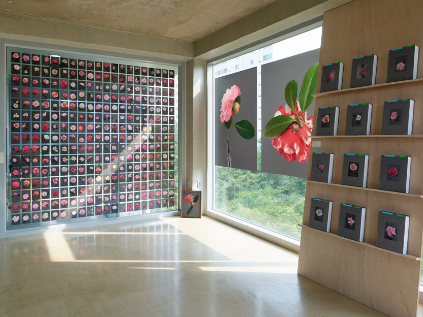 사진작가 김경태가 찍고 슬기와 민이 디자인한 책 18 IMG 4484