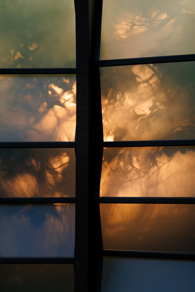 Serpentine 25 MTA 1747 668x1001 1