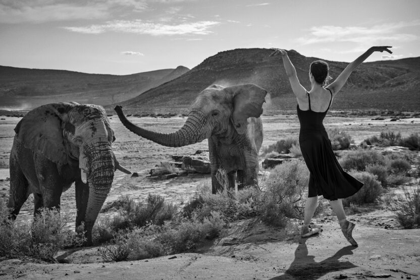 비상하는 몸짓, 렁볼(L’ENVOL) 2 2 1