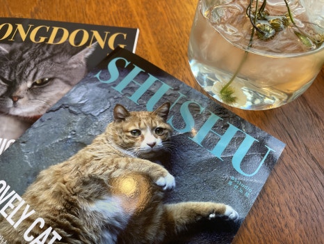 대구에 가면 모호한 전시공간이 있다, 모호주택 9 20250708 061459