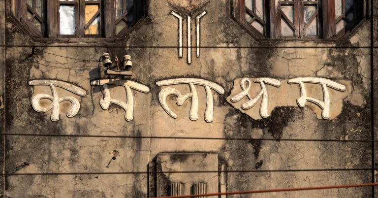 로컬이 직조한 새로운 세계