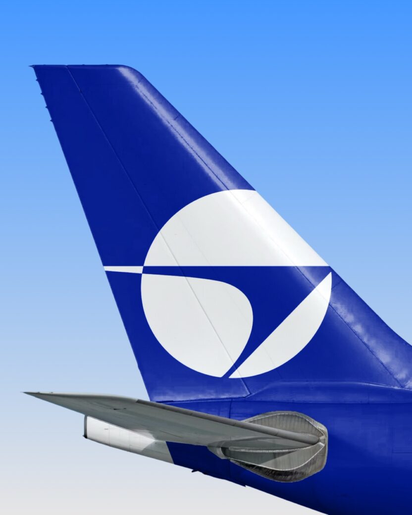 resize Parata lmnt 02