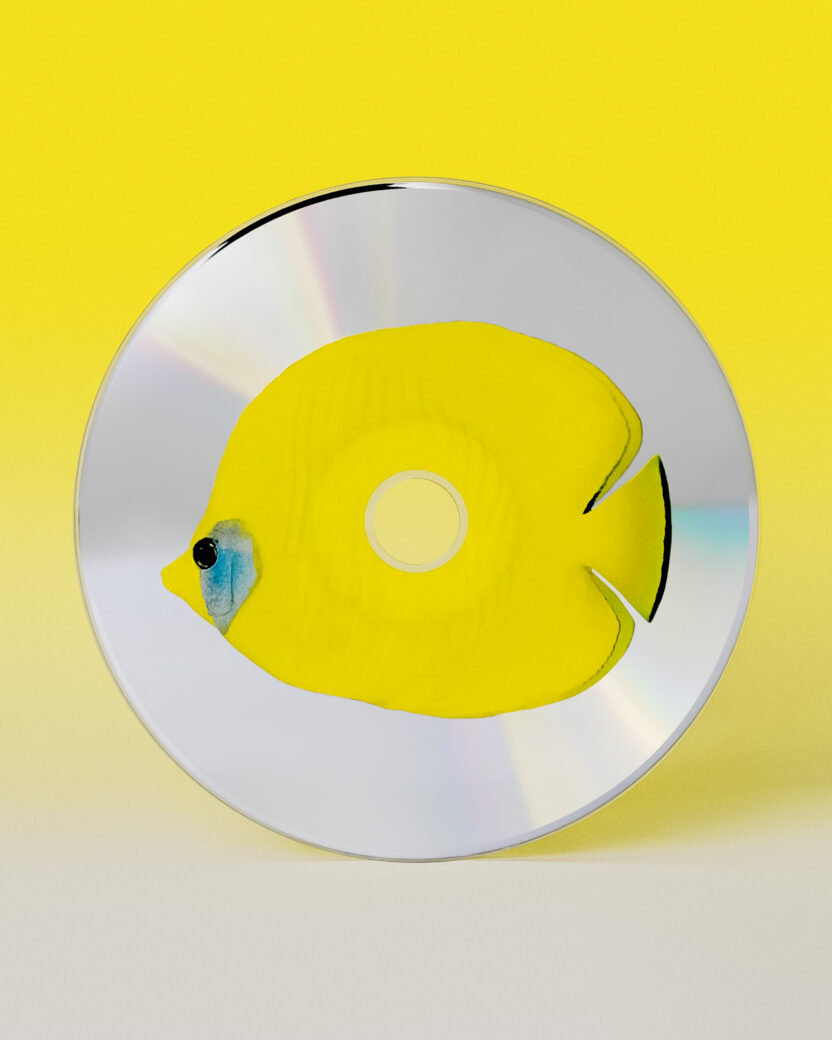 04 BYR Pisces Physical