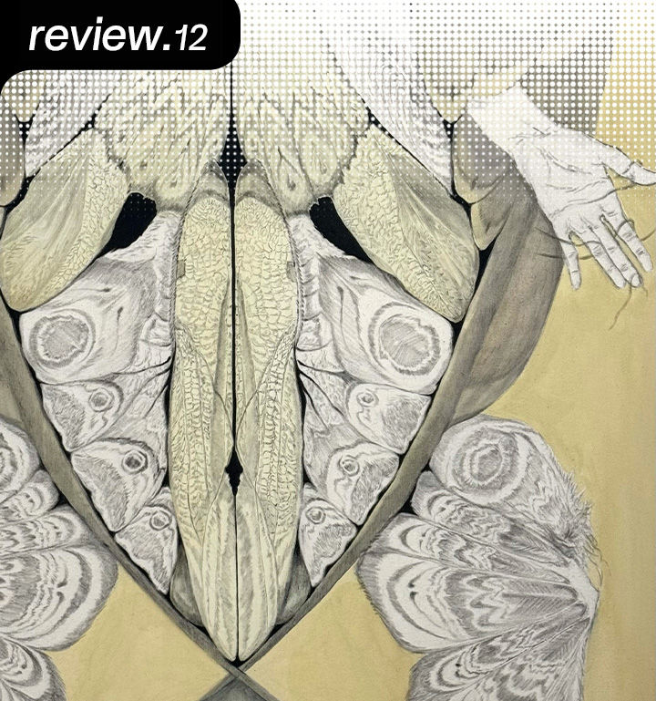 [D+ 앰버서더] 2025 스쿨쇼 리뷰 – 홍익대학교 동양화과