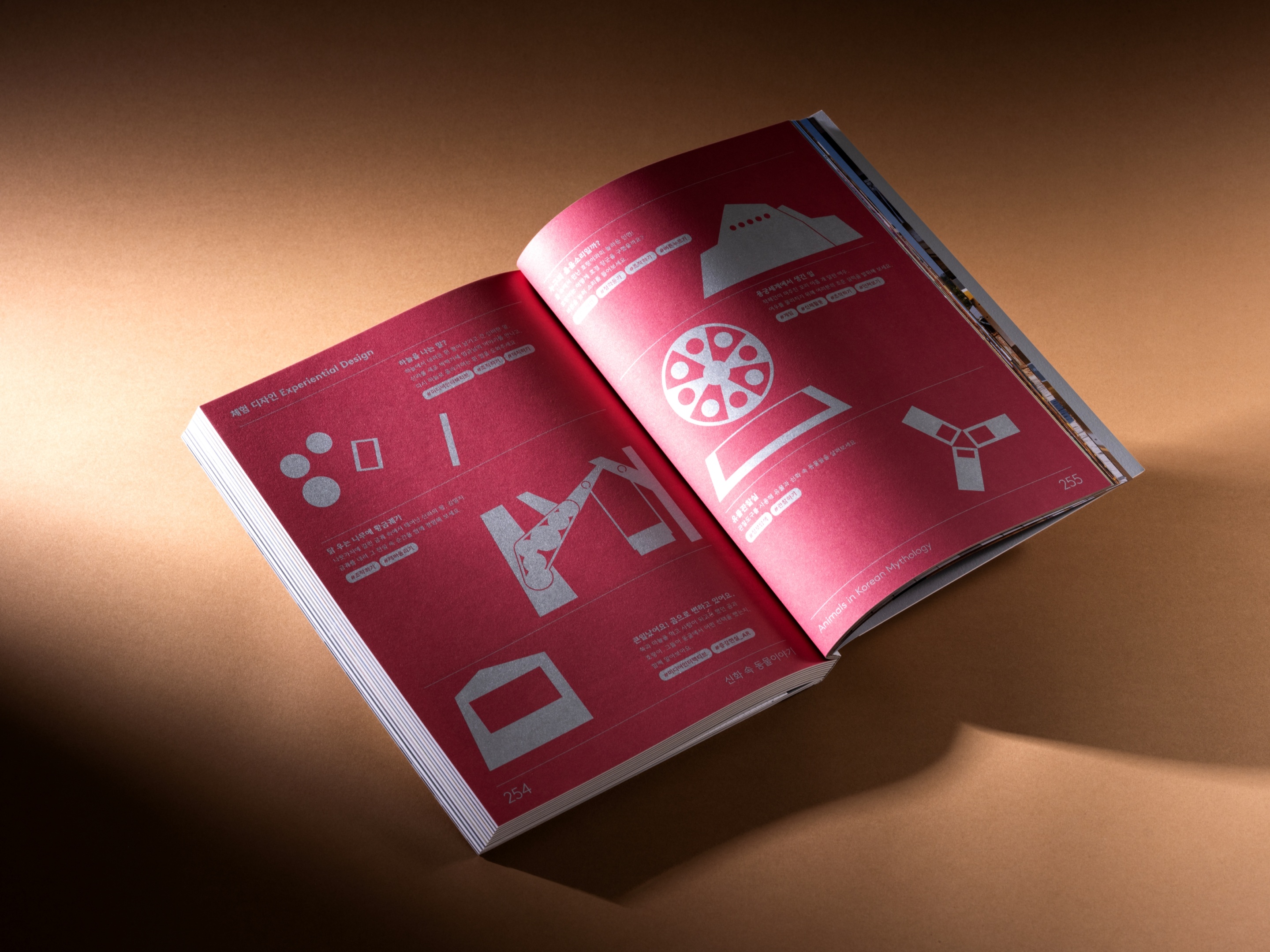 resize 26 0115 Portfolio FD 8631