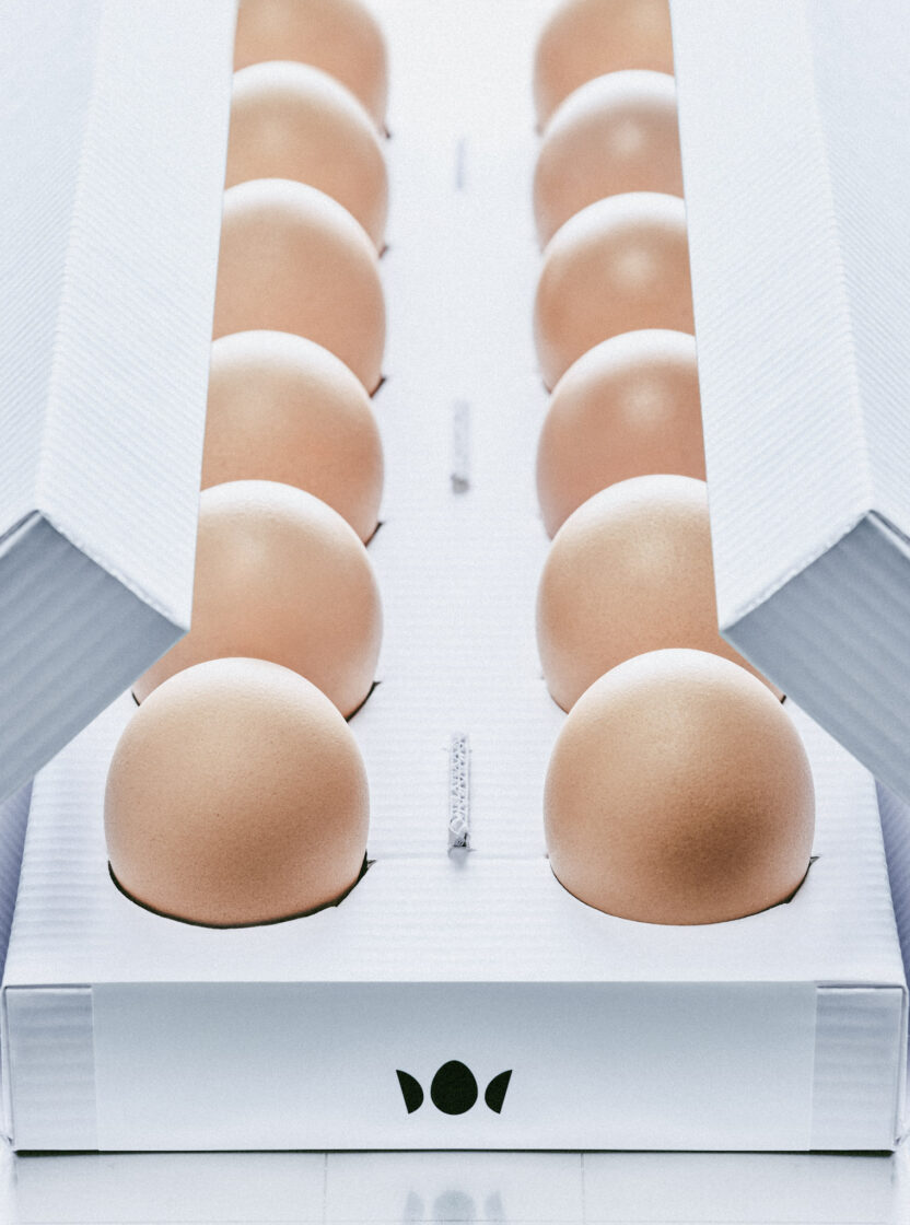 08c825b0d0707fca7a4590bd166a6ed8