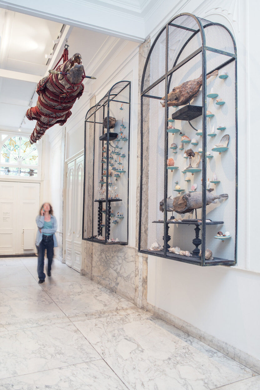 기묘하고 아름다운 생명의 잔향, 암스테르담 아트 주 뮤지엄 13 13 6