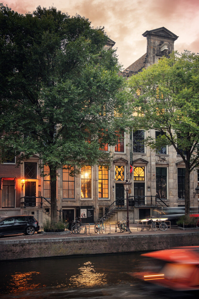 기묘하고 아름다운 생명의 잔향, 암스테르담 아트 주 뮤지엄 14 14 7