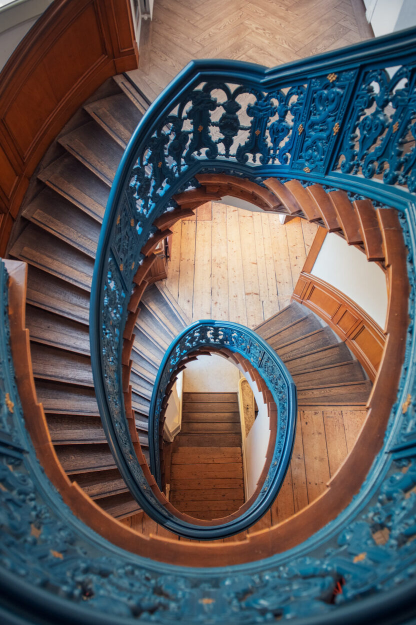 기묘하고 아름다운 생명의 잔향, 암스테르담 아트 주 뮤지엄 5 5 9