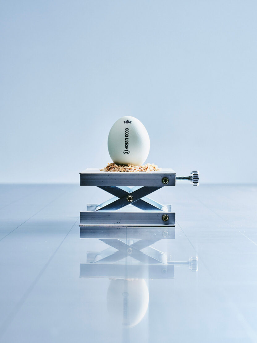 74ed496dba0b5f015d7aa16ee532a946