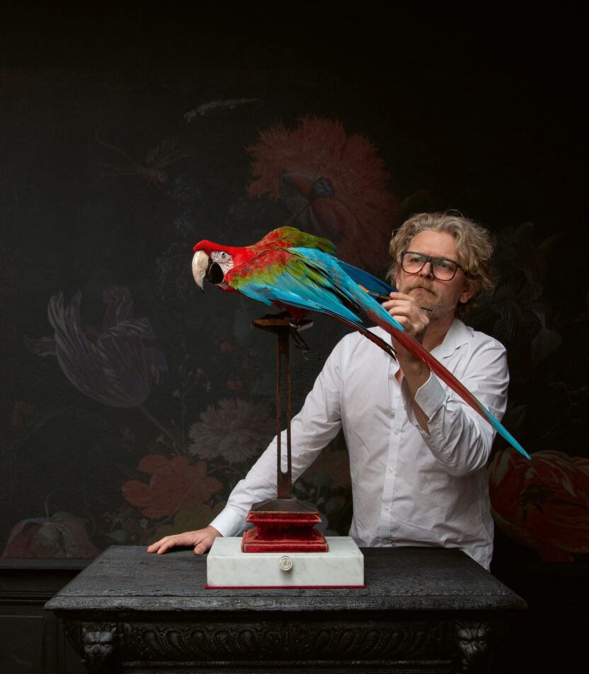 기묘하고 아름다운 생명의 잔향, 암스테르담 아트 주 뮤지엄 9 9 12