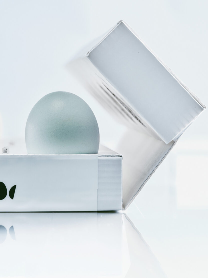 d908d385621e5b461613d6b6c58e6a9d