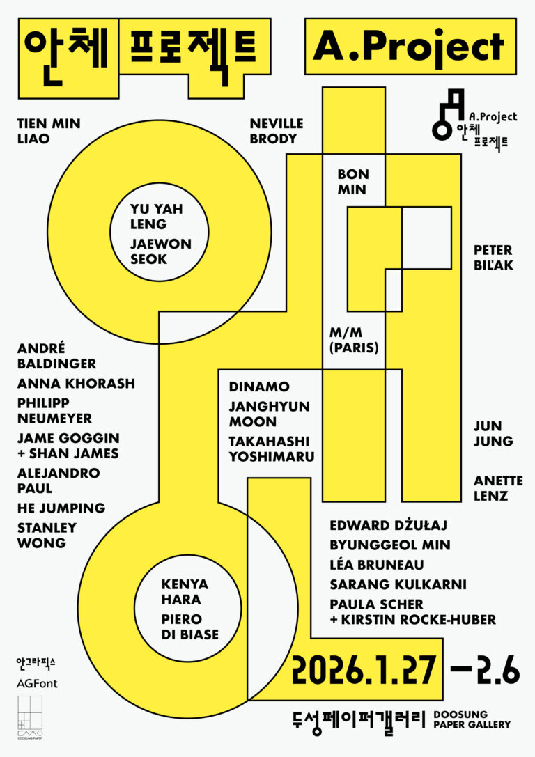 안상수체의 무한한 변주, 안체 프로젝트
