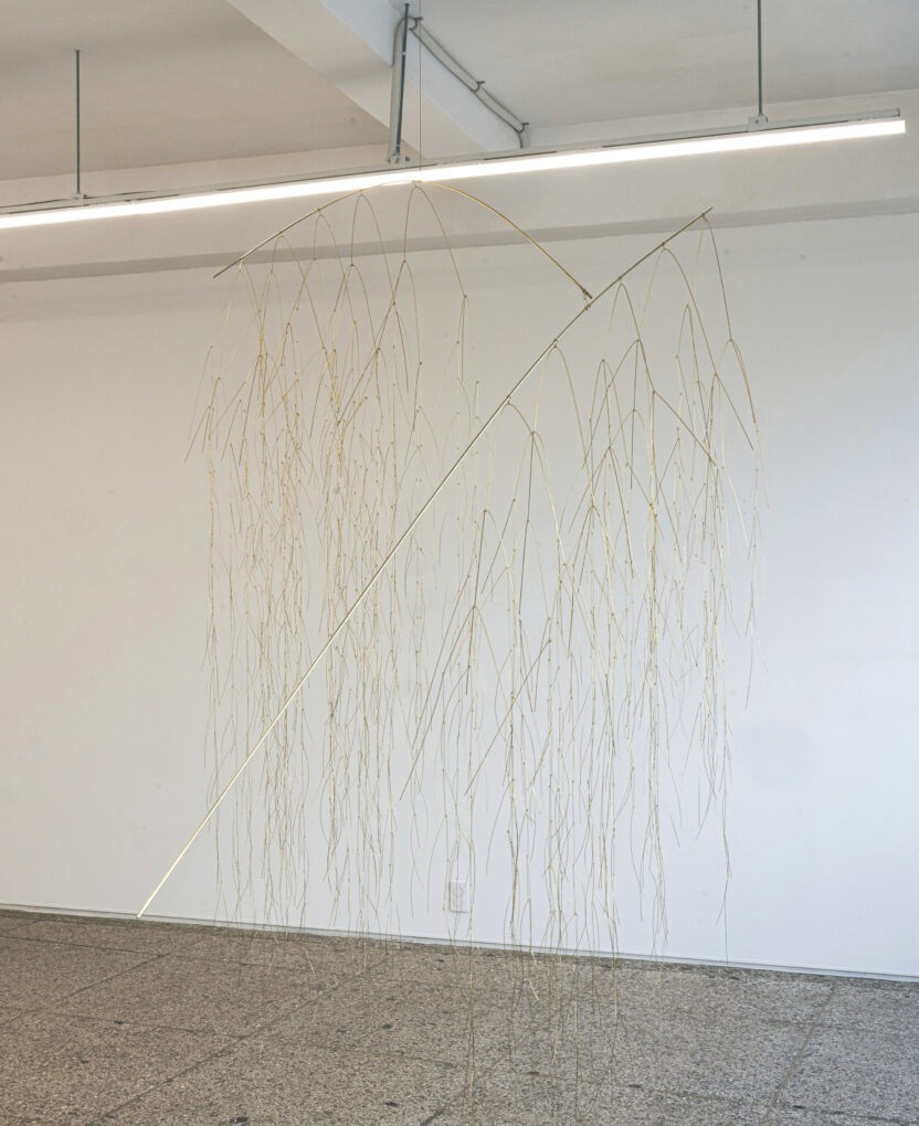 KakaoTalk 20260309 145020599