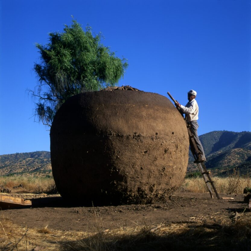 resize Carbonero House 2